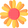 开云体育 logo