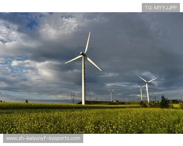 足球装备环保白皮书2.0:碳中和目标下的装备改革